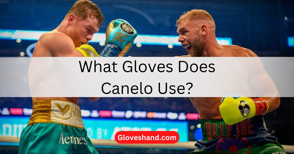 What Gloves Does Canelo Use