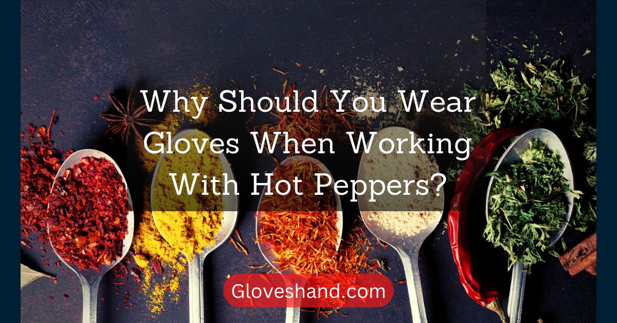 Why Should You Wear Gloves When Working With Hot Peppers