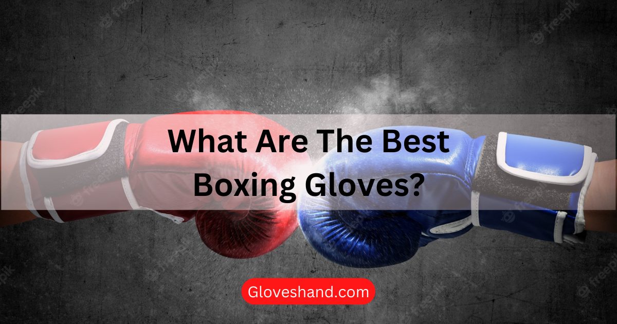 What Are the Best Boxing Gloves