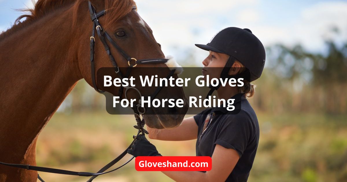 best horse riding gloves for winter