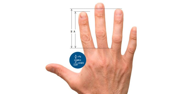 measure the finger length